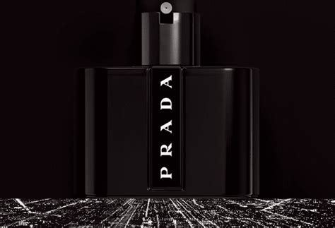 black de prada|Prada black reviews.